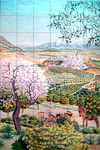 Andalusian field