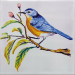 Pajaro 4