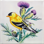 Pajaro 3