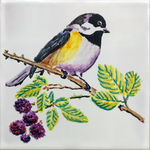 Pajaro 2