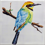 Pajaro 1