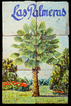 Palmera 2